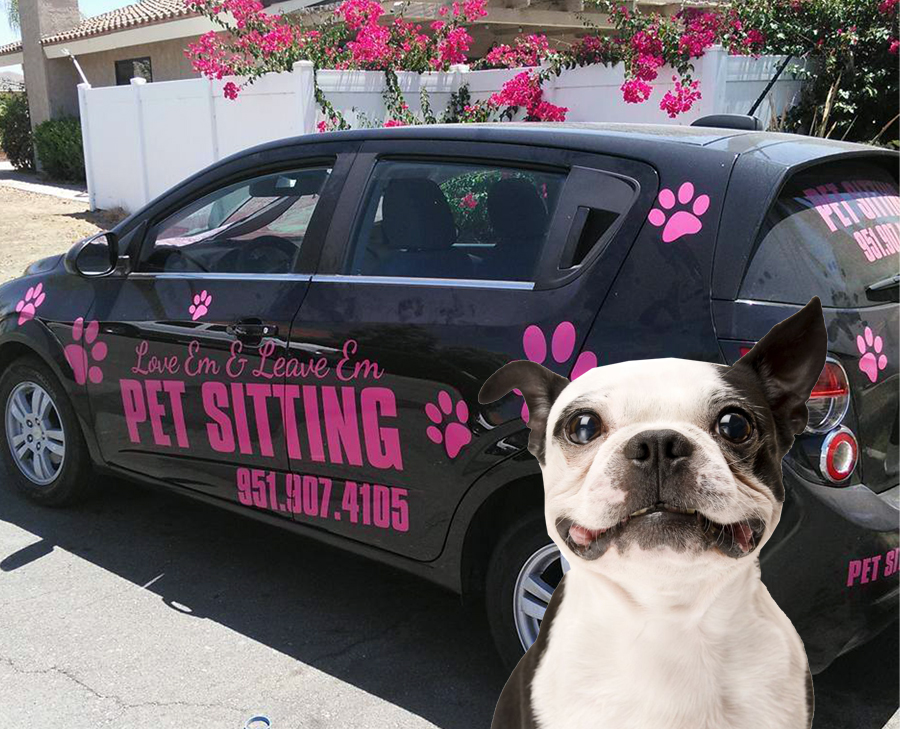 Pet Sitter Comes To Your House and Pet Transpotation